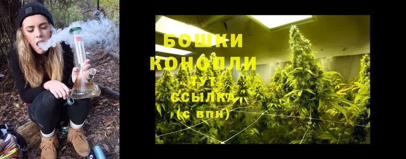 kraken сайт  Вилюйск  Шишки марихуана White Widow 